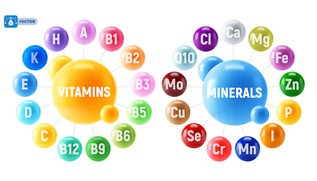 3D illustration of essential vitamins and minerals that support strong teeth, healthy gums, and long-term oral health